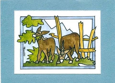 sous verre anes qui mangent